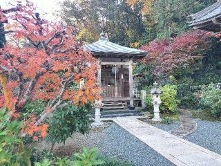 宗光山 玉巖寺の参拝記録(さとみさん)