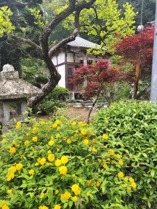 宗光山 玉巖寺の参拝記録(さとみさん)