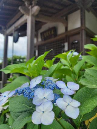 玉巖寺の参拝記録(たけちゃん⚾さん)