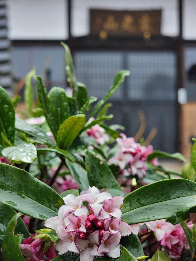 宗光山 玉巖寺の参拝記録5