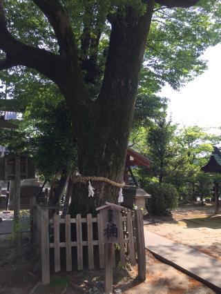 大神神社の参拝記録(ボスさん)