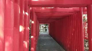 伊富利部神社の参拝記録(Monoさん)