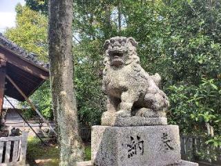 伊富利部神社の参拝記録(飛成さん)