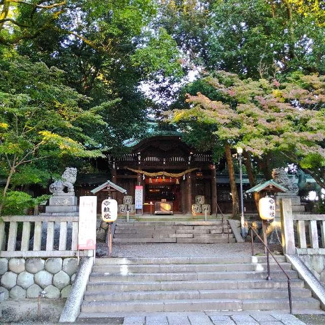 愛知県一宮市小信中島字宮浦780-1 堤治神社の写真4