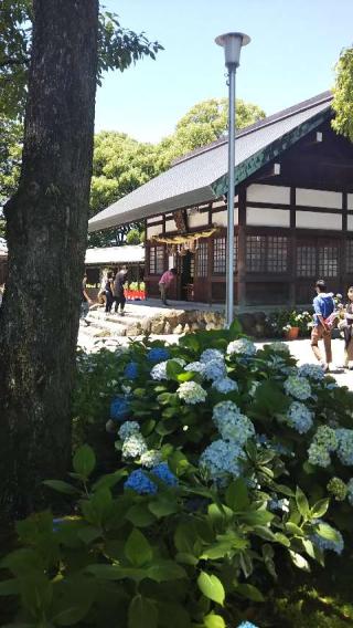 御裳神社の参拝記録(チコ＆ウニさん)