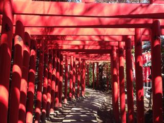 大明神社の参拝記録(くーさん)