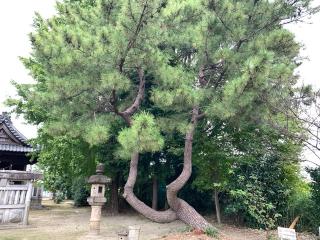 諏訪社の参拝記録(くーさん)