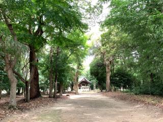 山崎神社の参拝記録(くーさん)