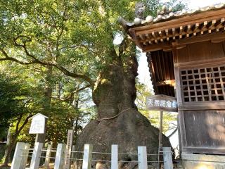 八幡社の参拝記録(くーさん)