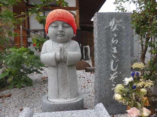 群馬県藤岡市岡之郷甲439 白華山 真如院 観音寺の写真3