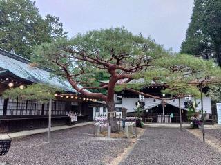 尾張富士大宮浅間神社の参拝記録(タクさん)