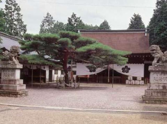 尾張富士大宮浅間神社の写真1