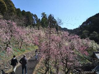 大縣神社の参拝記録(yukiさん)