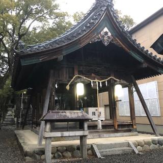 新溝神社の参拝記録(ワヲンさん)