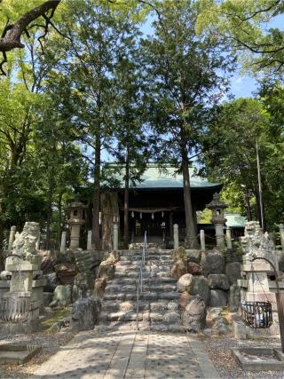 新溝神社の参拝記録(シャモさん)