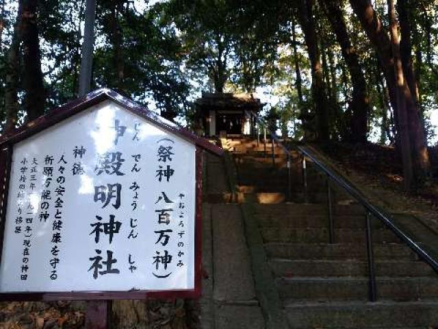 愛知県大府市北崎町北屋敷147 山之神社（北尾山之神社）の写真11