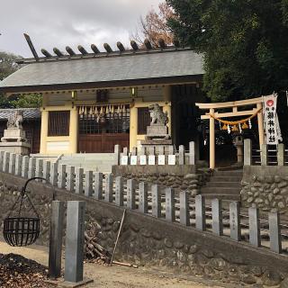 藤井神社（追分藤井神社）の参拝記録(ワヲンさん)