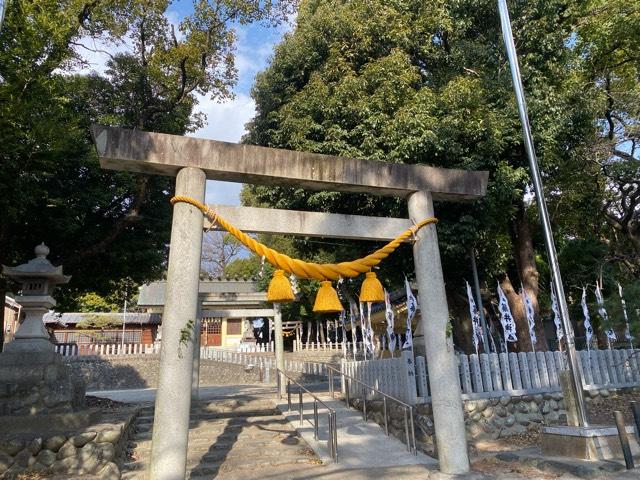 藤井神社（追分藤井神社）の参拝記録3