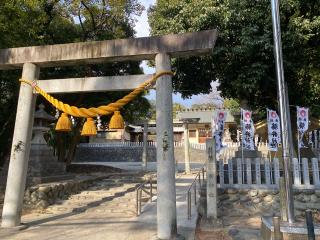 藤井神社（追分藤井神社）の参拝記録(yj さん)
