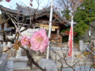 岡崎天満宮（天満天神）の参拝記録(銀玉鉄砲さん)