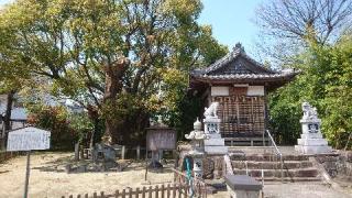 新田白山神社の参拝記録(yukiさん)