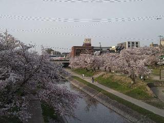新田白山神社の参拝記録(yukiさん)