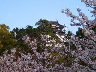 新田白山神社の参拝記録(yukiさん)