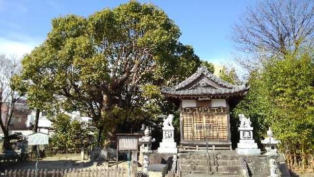 愛知県岡崎市康生町345-1 新田白山神社の写真2