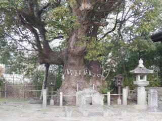 新田白山神社の参拝記録(のこさん)