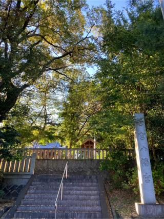 若宮八幡宮の参拝記録(恭子さん)