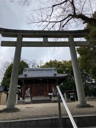 若宮八幡宮の参拝記録(恭子さん)