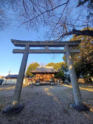 若宮八幡宮の参拝記録(michiさん)