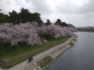 恵美須神社の参拝記録(yukiさん)