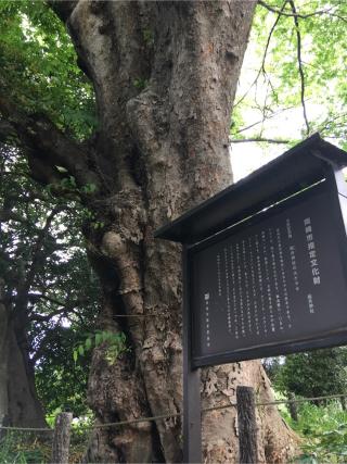 瓶井神社の参拝記録(いそはなさん)