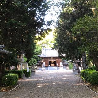 白鳥神社の参拝記録(ワヲンさん)
