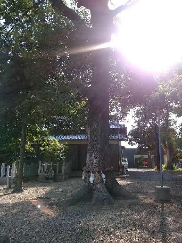 愛知県岡崎市森越町字森下45 長瀬八幡宮の写真10