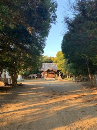 神明社（小針神明社）の参拝記録(もそもそ🤗さん)