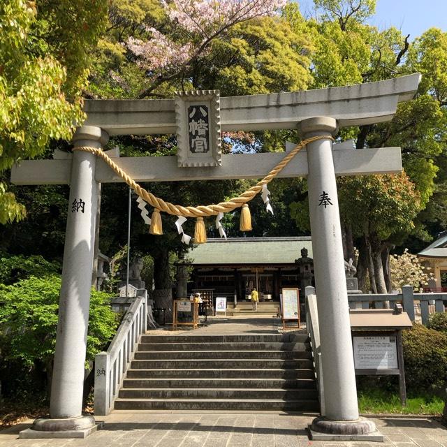 上地八幡宮の参拝記録9