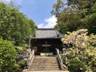 土呂八幡宮の参拝記録(じゃすてぃさん)