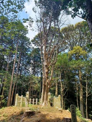 山中八幡宮の参拝記録(銀玉鉄砲さん)