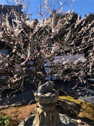 岩津天満宮（岩津天神）の参拝記録(なおちゃんさん)