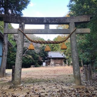 桑原神社の参拝記録(ワヲンさん)