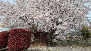 豊富神社の参拝記録(あきちゃんさん)