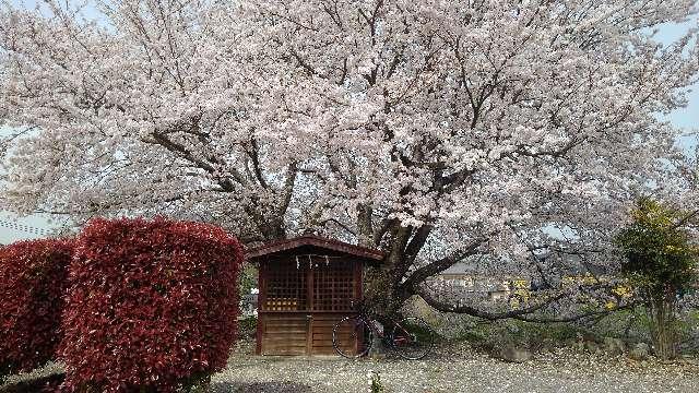 愛知県岡崎市牧平町字大門28 豊富神社の写真3