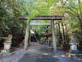 多度神社の参拝記録(銀玉鉄砲さん)