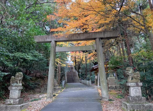 多度神社の参拝記録8