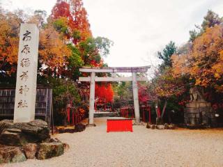 市原稲荷神社の参拝記録(miyumikoさん)