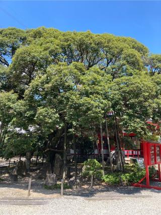 市原稲荷神社の参拝記録(すし吉さん)