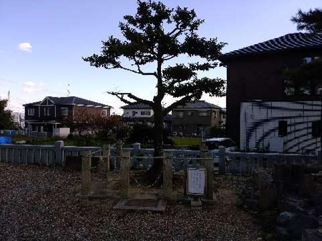 愛知県刈谷市一ツ木町6丁目5-3 神明社（一ツ木神明社）の写真11
