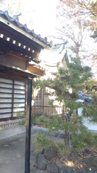 八劔神社の参拝記録(ステイさん)